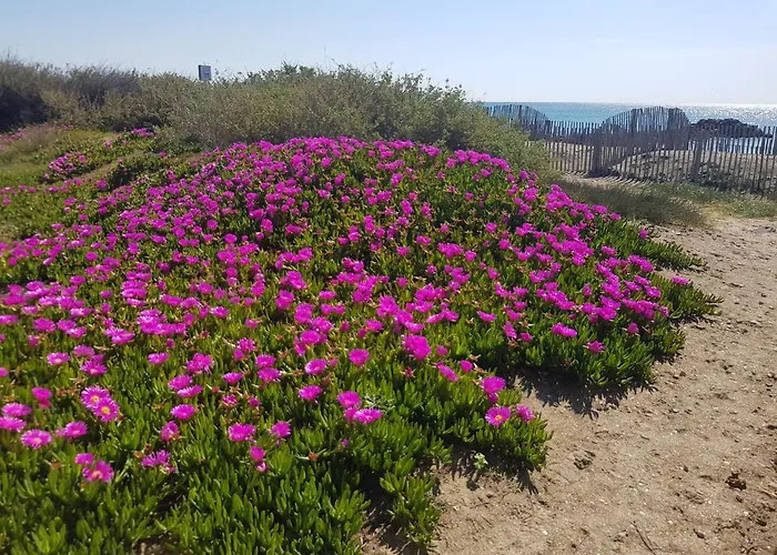 La Rose des Sables