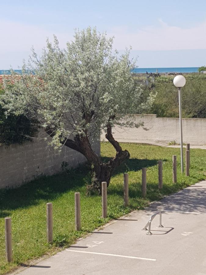 La Rose Des Sables Appartement