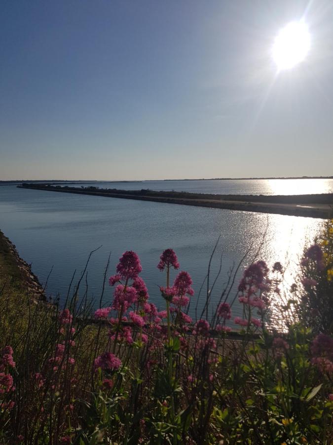 La Rose Des Sables Appartement Frontignan