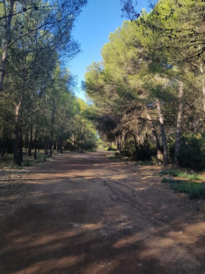 La Rose Des Sables * Frontignan