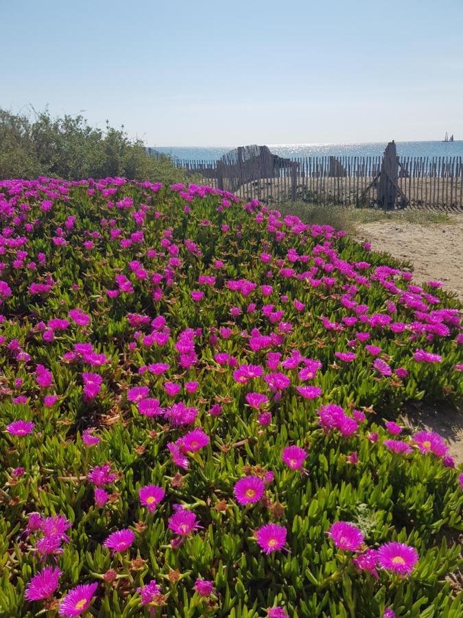 La Rose Des Sables, T2 A La Mer, Terrasse Et Garage Apartment