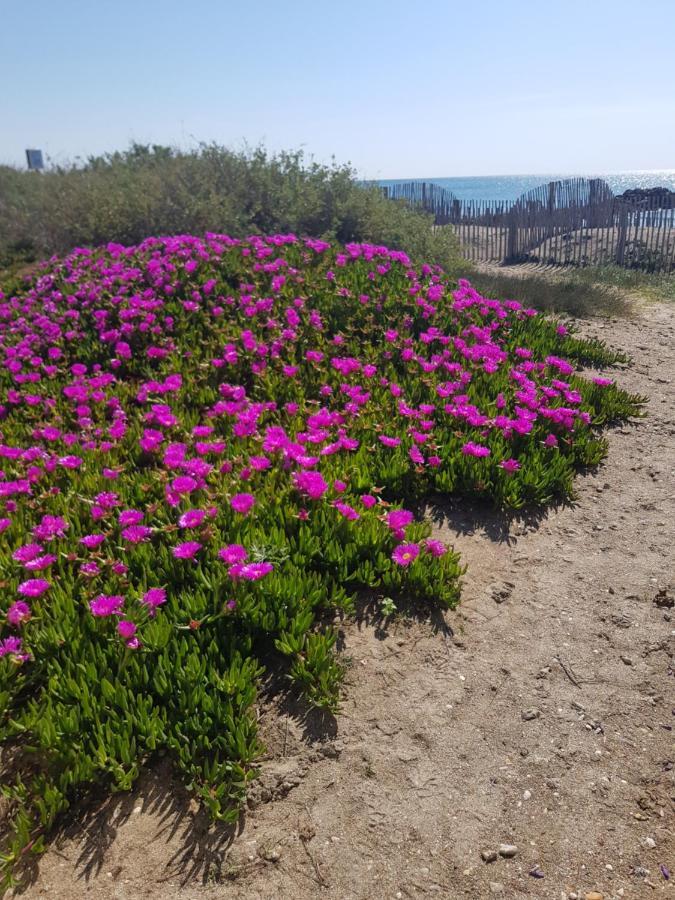 La Rose Des Sables, T2 A La Mer, Terrasse Et Garage *