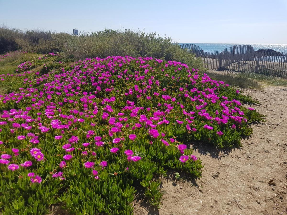 La Rose Des Sables, T2 A La Mer, Terrasse Et Garage *