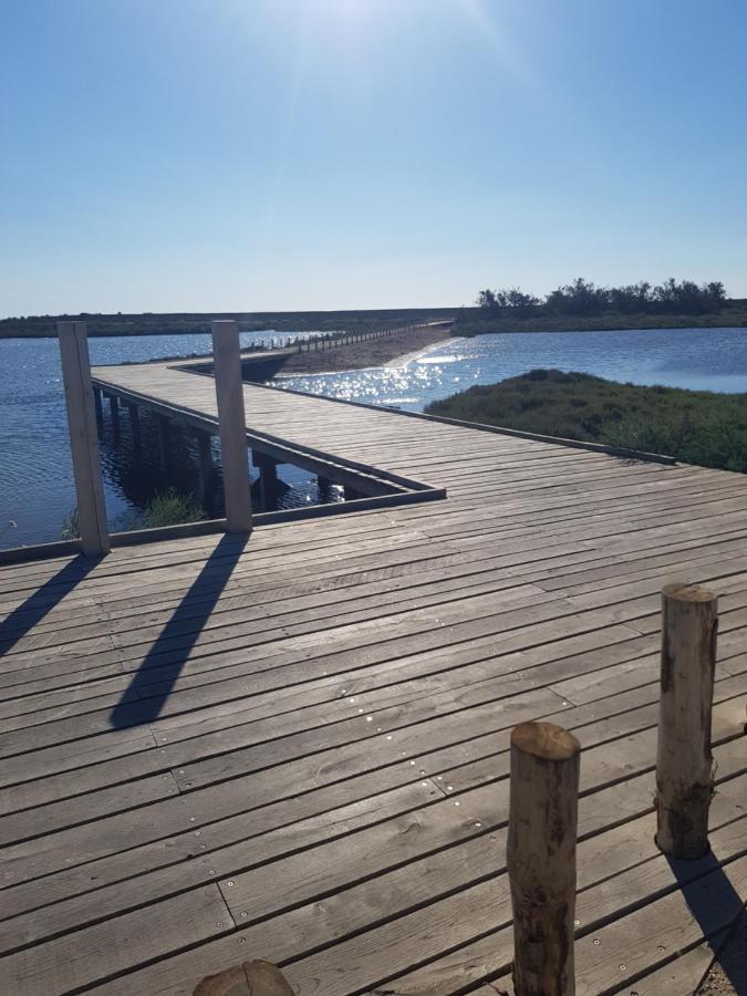 La Rose Des Sables, T2 A La Mer, Terrasse Et Garage Frontignan