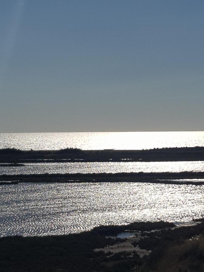 La Rose Des Sables, T2 A La Mer, Terrasse Et Garage * Frontignan